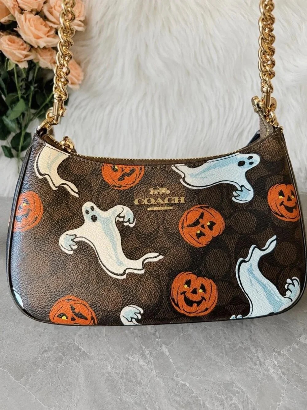 Coach Brown Pumpkin & Ghost Print Shoulder Bag with Gold Chain